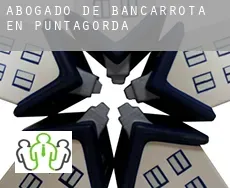 Abogado de bancarrota en  Puntagorda
