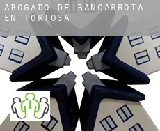 Abogado de bancarrota en  Tortosa