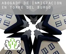 Abogado de inmigración en  Torre del Burgo