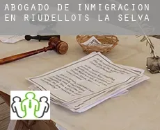 Abogado de inmigración en  Riudellots de la Selva