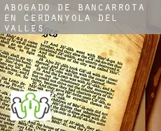 Abogado de bancarrota en  Cerdanyola del Vallès