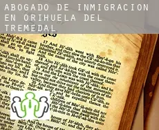 Abogado de inmigración en  Orihuela del Tremedal