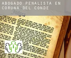 Abogado penalista en  Coruña del Conde