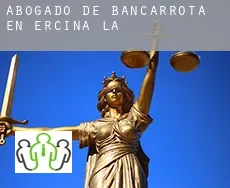 Abogado de bancarrota en  Ercina (La)