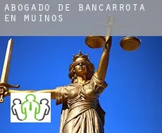 Abogado de bancarrota en  Muiños