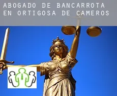 Abogado de bancarrota en  Ortigosa de Cameros