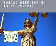 Abogado defensor en  Las Pedroñeras