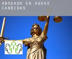 Abogado en  Aguas Cándidas