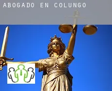 Abogado en  Colungo