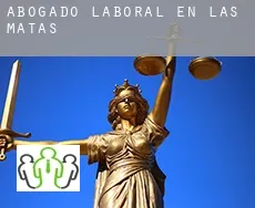 Abogado laboral en  Las Matas