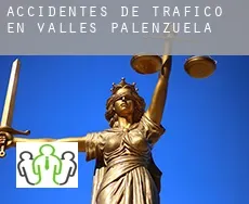 Accidentes de tráfico en  Valles de Palenzuela