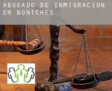 Abogado de inmigración en  Boniches