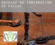 Abogado de inmigración en  Pollos