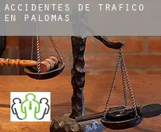 Accidentes de tráfico en  Palomas