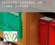 Abogado laboral en  Llano de Olmedo