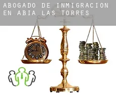 Abogado de inmigración en  Abia de las Torres