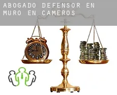 Abogado defensor en  Muro en Cameros