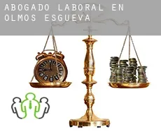 Abogado laboral en  Olmos de Esgueva