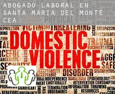Abogado laboral en  Santa María del Monte de Cea