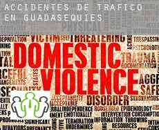 Accidentes de tráfico en  Guadasequies