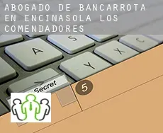 Abogado de bancarrota en  Encinasola de los Comendadores