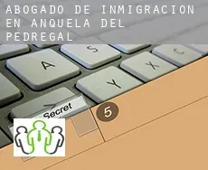 Abogado de inmigración en  Anquela del Pedregal