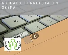 Abogado penalista en  Sesma