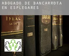 Abogado de bancarrota en  Esplegares