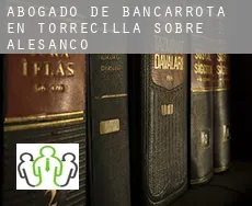 Abogado de bancarrota en  Torrecilla sobre Alesanco