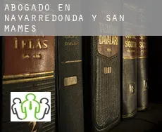 Abogado en  Navarredonda y San Mamés