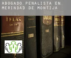 Abogado penalista en  Merindad de Montija