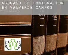 Abogado de inmigración en  Valverde de Campos