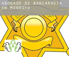 Abogado de bancarrota en  Monroyo