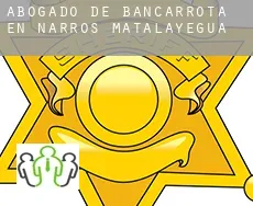 Abogado de bancarrota en  Narros de Matalayegua