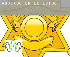Abogado en  El Ejido