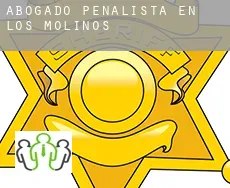 Abogado penalista en  Los Molinos