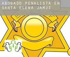 Abogado penalista en  Santa Elena de Jamuz