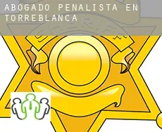 Abogado penalista en  Torreblanca