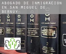 Abogado de inmigración en  San Miguel de Bernuy