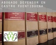 Abogado defensor en  Castro de Fuentidueña