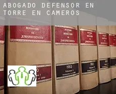Abogado defensor en  Torre en Cameros