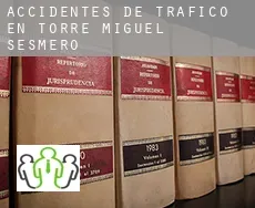 Accidentes de tráfico en  Torre de Miguel Sesmero