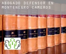 Abogado defensor en  Montenegro de Cameros