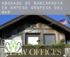 Abogado de bancarrota en Orpesa/Oropesa del Mar