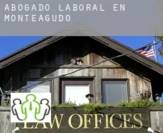 Abogado laboral en  Monteagudo