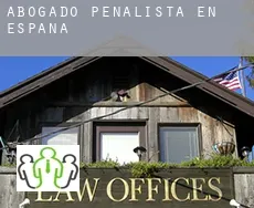 Abogado penalista en  España