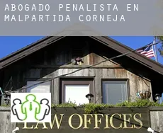 Abogado penalista en  Malpartida de Corneja