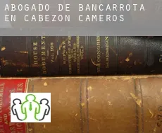 Abogado de bancarrota en  Cabezón de Cameros
