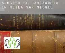 Abogado de bancarrota en  Neila de San Miguel