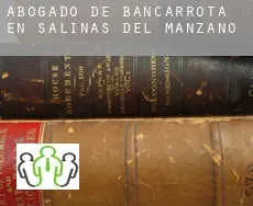 Abogado de bancarrota en  Salinas del Manzano